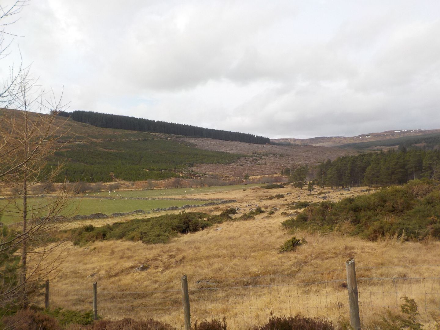 Walk Report Easter Ross Easter • Walkhighlands